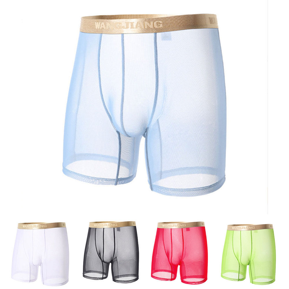 Boyshort Underwear - Men Mesh See Through Thin Seamless