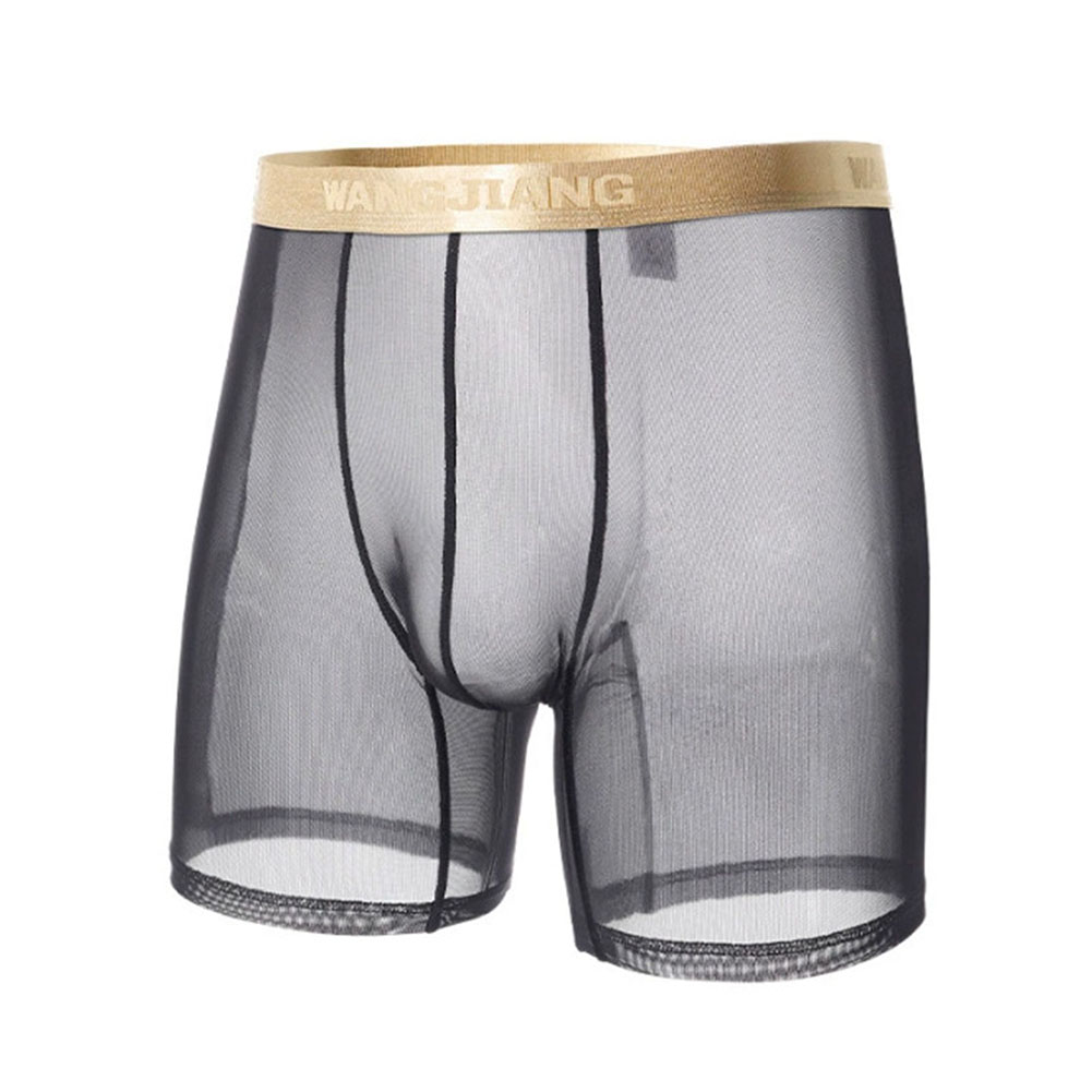 Men Mesh See Through   Thin Se - Boyshort Underwear 评论和价格