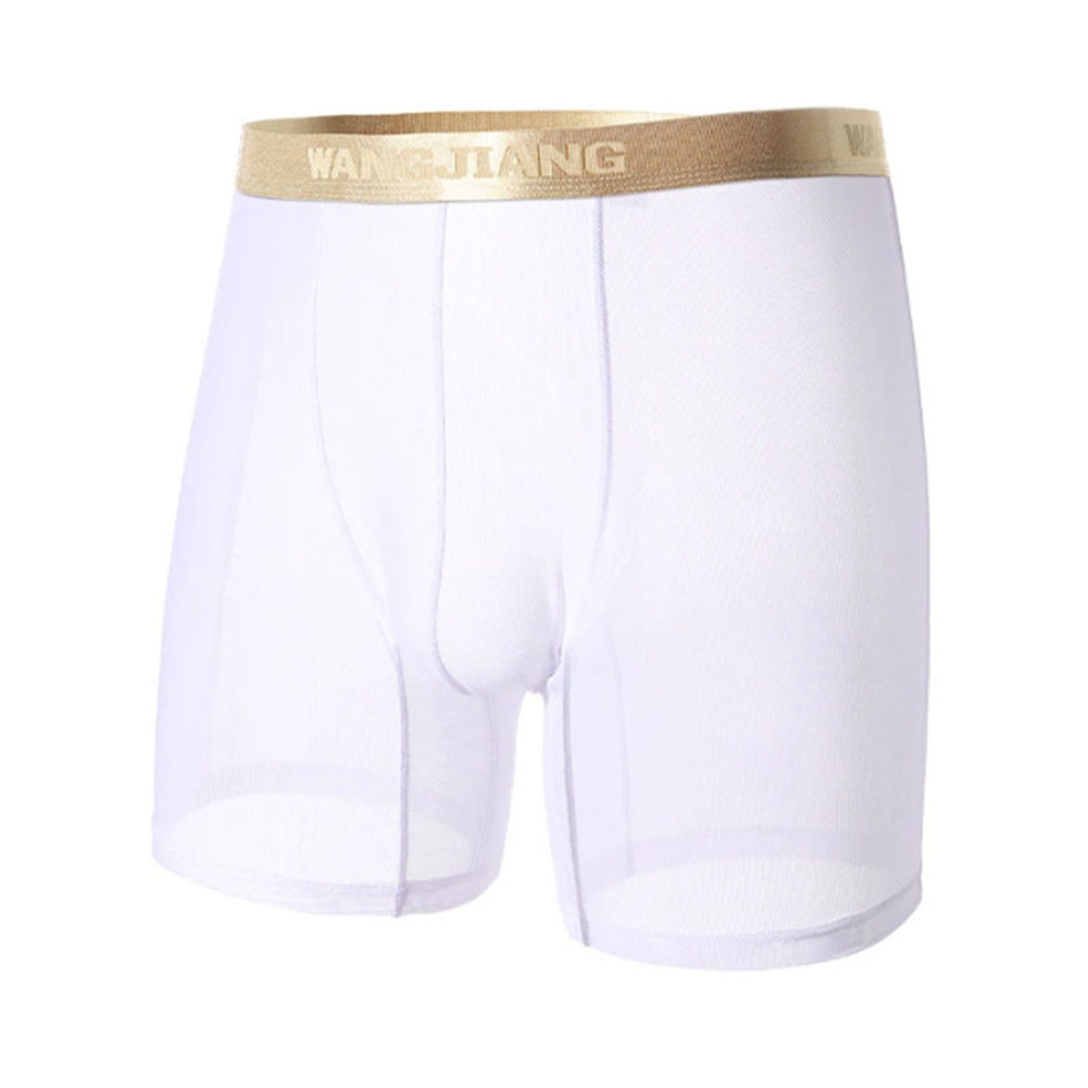 Men Mesh See Through   Thin Se - Boyshort Underwear 评论和价格
