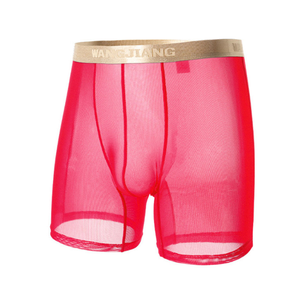 Men Mesh See Through   Thin Se - Boyshort Underwear 评论和价格